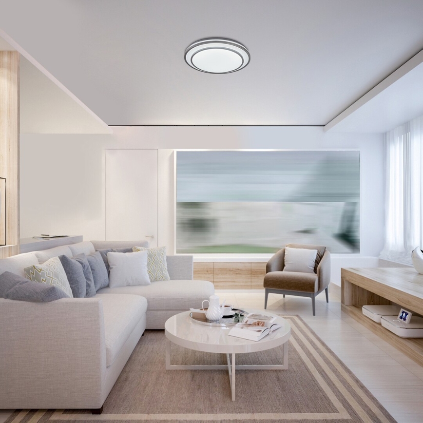 Rabalux - LED Himmennettävä kattovalo LED/40W/230V 3000-6500K hopea + kaukosäädin