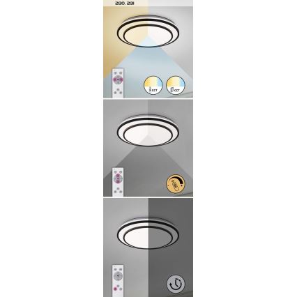 Rabalux - LED Himmennettävä kattovalo LED/40W/230V 3000-6500K hopea + kaukosäädin