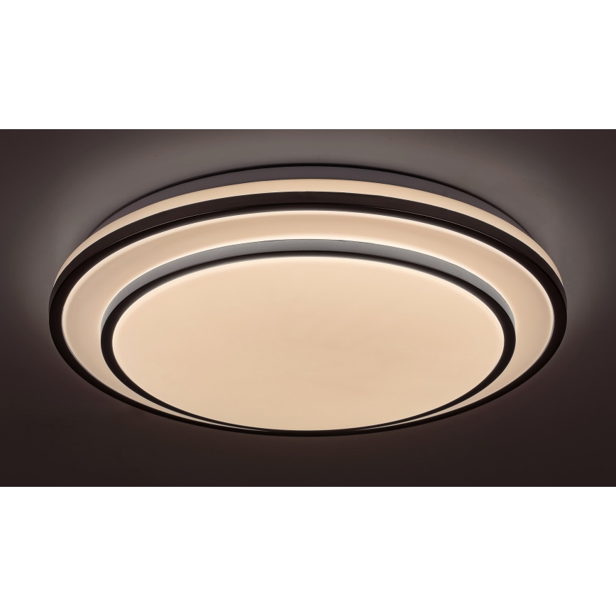 Rabalux - LED Himmennettävä kattovalo LED/40W/230V 3000-6500K hopea + kaukosäädin
