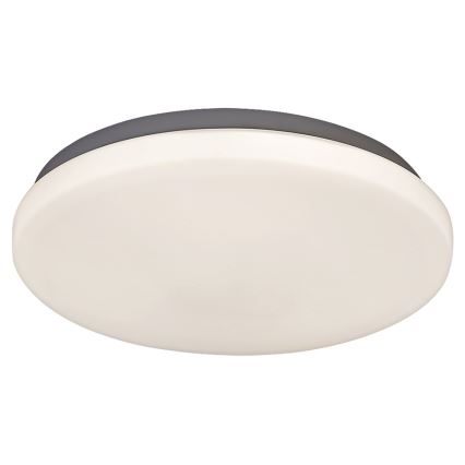 Rabalux - LED-kattovalaisin 1xLED/20W/230V