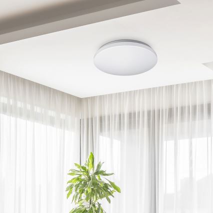 Rabalux - LED-kattovalaisin 1xLED/32W/230V