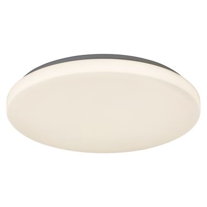 Rabalux - LED-kattovalaisin 1xLED/32W/230V