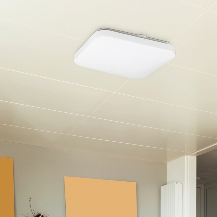 Rabalux - LED-kattovalaisin 1xLED/20W/230V