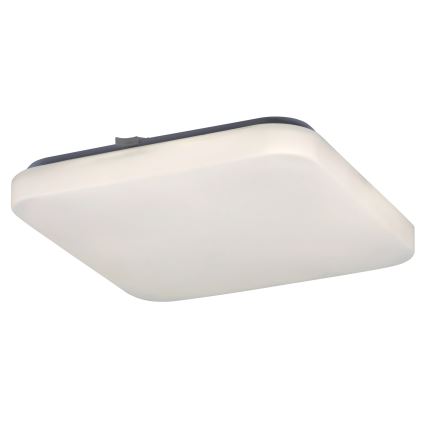 Rabalux - LED-kattovalaisin 1xLED/20W/230V