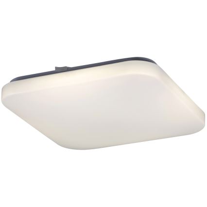 Rabalux - LED-kattovalaisin 1xLED/32W/230V