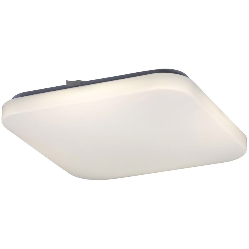 Rabalux - LED-kattovalaisin 1xLED/32W/230V
