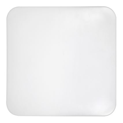 Rabalux - LED-kattovalaisin 1xLED/32W/230V