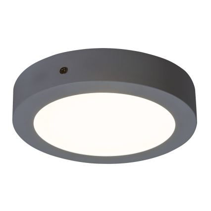 Rabalux - LED-kattovalaisin LED/12W/230V