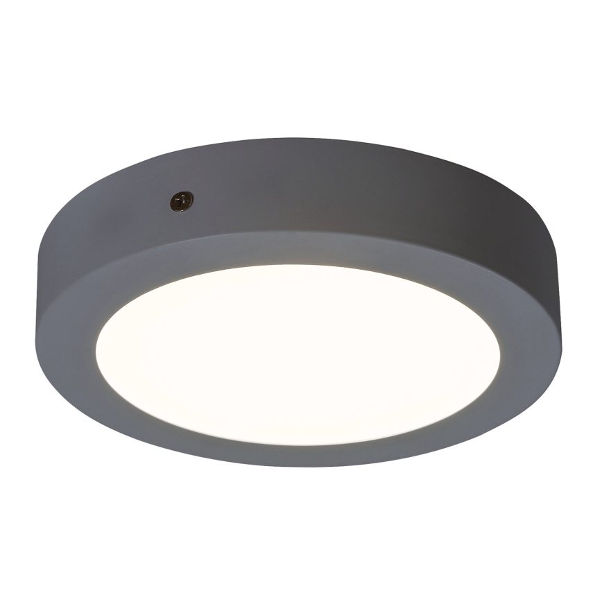 Rabalux - LED-kattovalaisin LED/12W/230V