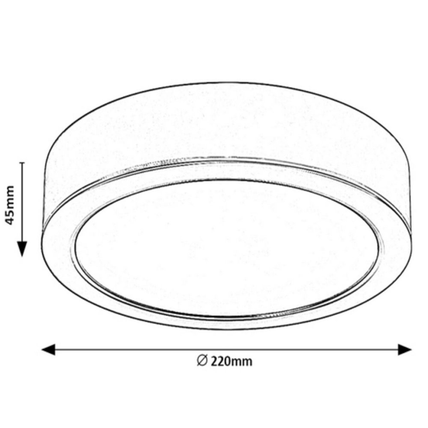 Rabalux - LED-kattovalaisin LED/24W/230V halk. 22 cm