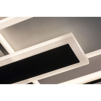 Rabalux - LED-kattovalaisin LED/50W/230V