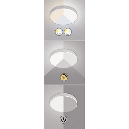 Rabalux - Himmennettävä LED-kattovalaisin LED/60W/230V 60 cm + kauko-ohjaus