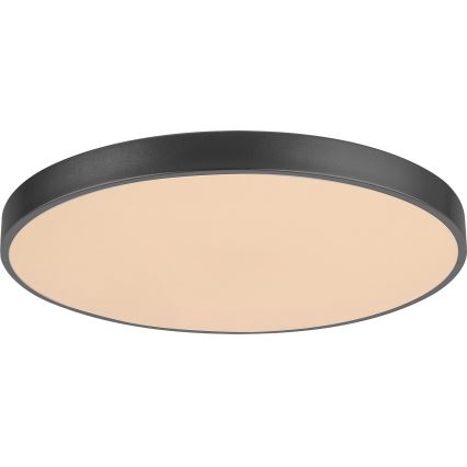 Rabalux - Himmennettävä LED-kattovalaisin LED/60W/230V 60 cm + kauko-ohjaus