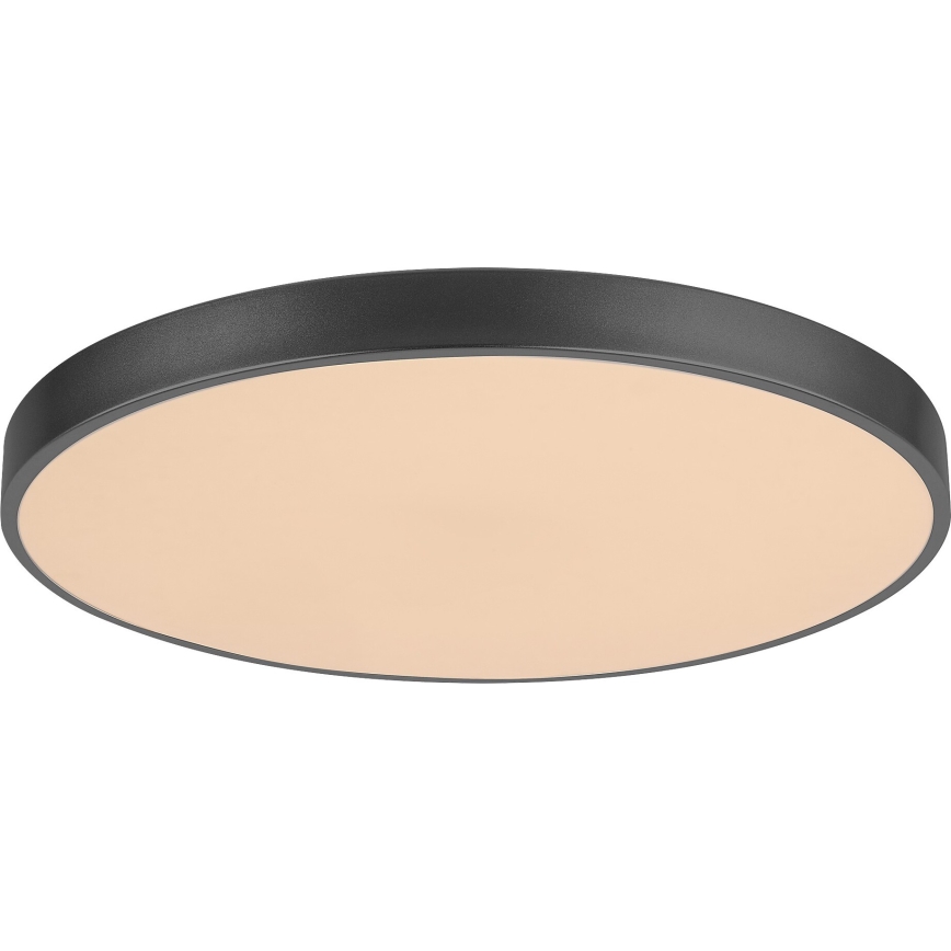 Rabalux - Himmennettävä LED-kattovalaisin LED/60W/230V 60 cm + kauko-ohjaus