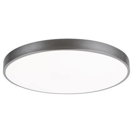 Rabalux - Himmennettävä LED-kattovalaisin TESIA LED/60W/230V 60 cm + kaukosäädin