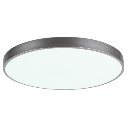 Rabalux - Himmennettävä LED-kattovalaisin TESIA LED/60W/230V 60 cm + kaukosäädin