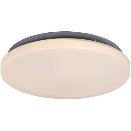 Rabalux - LED-kattovalaisin 1xLED/20W/230V halkaisija 29 cm