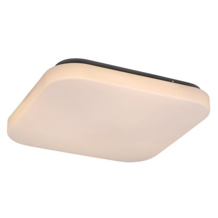 Rabalux - LED-kattovalaisin 1xLED/20W/230V