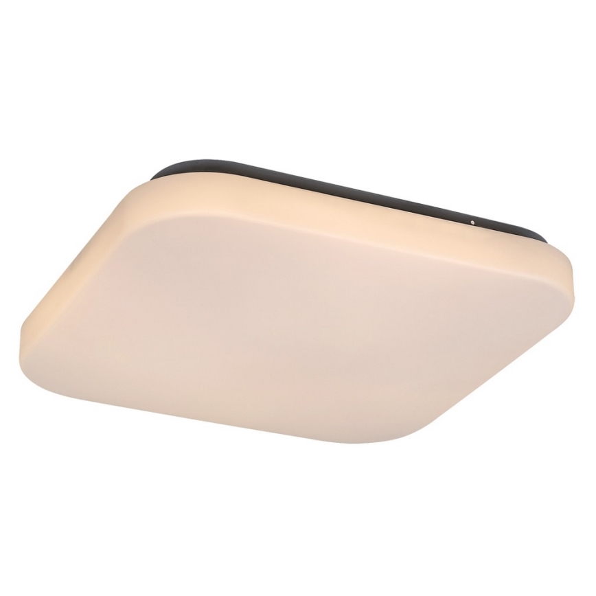 Rabalux - LED-kattovalaisin 1xLED/20W/230V