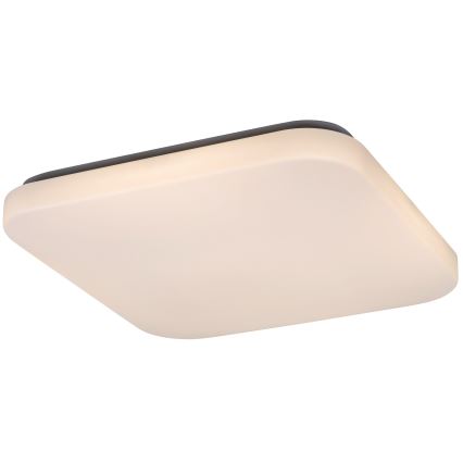 Rabalux - LED-kattovalaisin LED/32W/230V