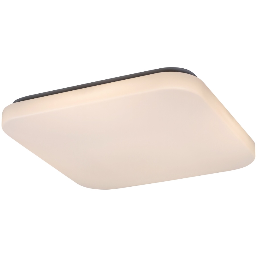 Rabalux - LED-kattovalaisin LED/32W/230V