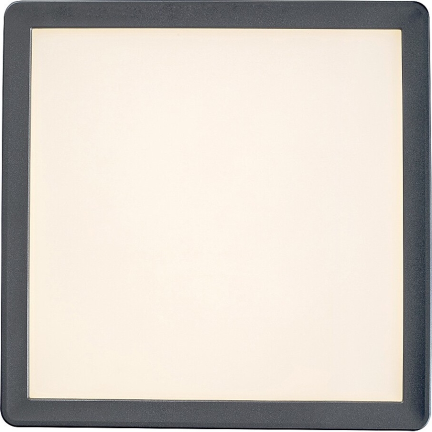 Rabalux - LED-kattovalaisin kylpyhuoneessa LED/15W/230V IP44