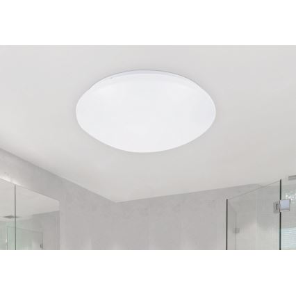 Rabalux - LED-kattovalaisin 1xLED/24W/230V