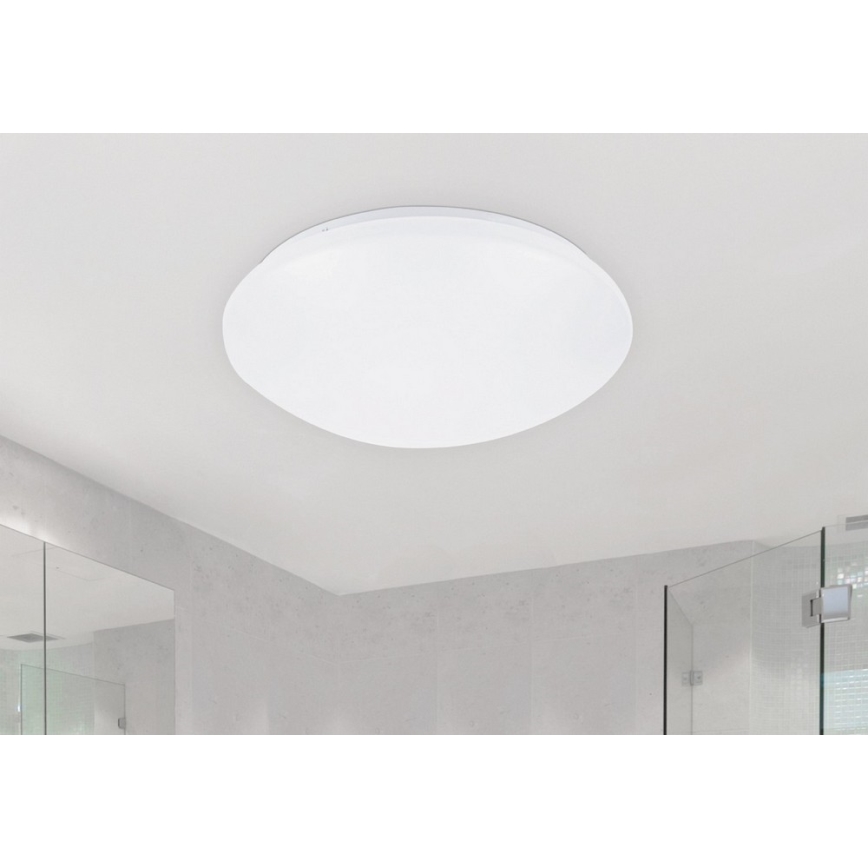 Rabalux - LED-kattovalaisin 1xLED/24W/230V