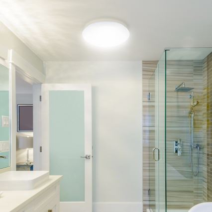Rabalux - LED-kattovalaisin kylpyhuoneessa LED/12W/230V IP44