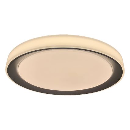 Rabalux - Himmennettävä LED-RGB-kattovalaisin LED/40W/230V 2700-6500K Wi-Fi Tuya  + kauko-ohjaus