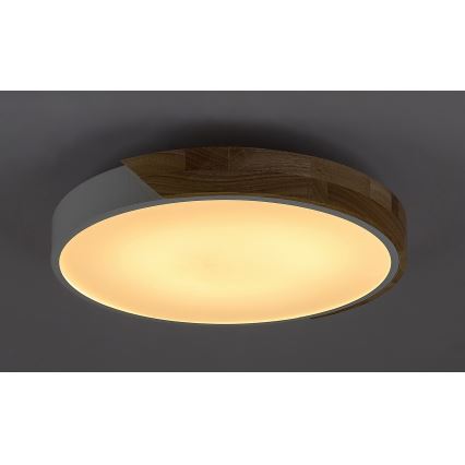 Rabalux - LED-kattovalaisin LED/24W/230V valkoinen/tammi