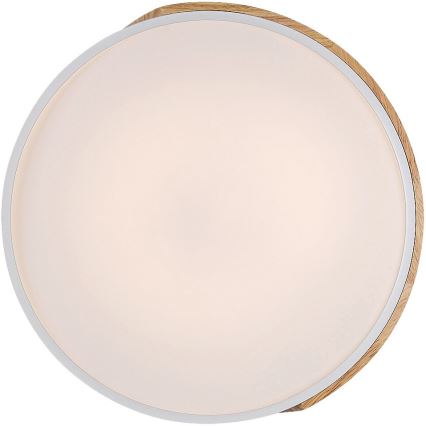 Rabalux - LED-kattovalaisin LED/24W/230V valkoinen/tammi