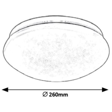 Rabalux - LED-kattovalaisin LED/12W/230V