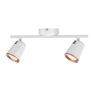 Rabalux 5046 - LED-kohdevalaisin SOLANGE 2xLED/6W/230V