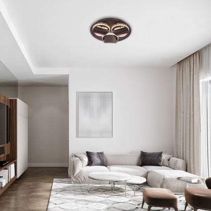 Rabalux 5050 - Himmennettävä LED-kattovalaisin CAPRIANA LED/18W/230V