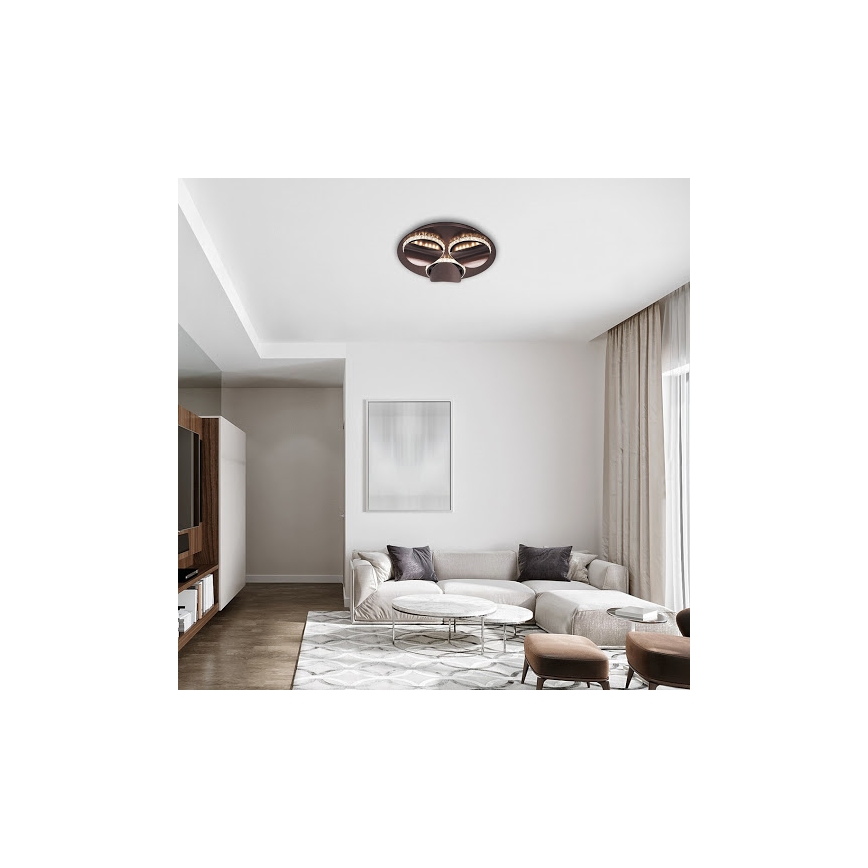 Rabalux 5050 - Himmennettävä LED-kattovalaisin CAPRIANA LED/18W/230V