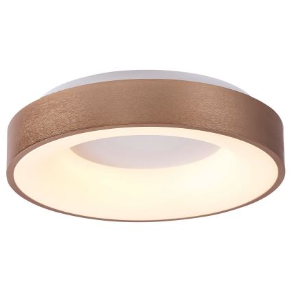 Rabalux 5052 - LED-kattovalaisin CARMELA LED/30W/230V