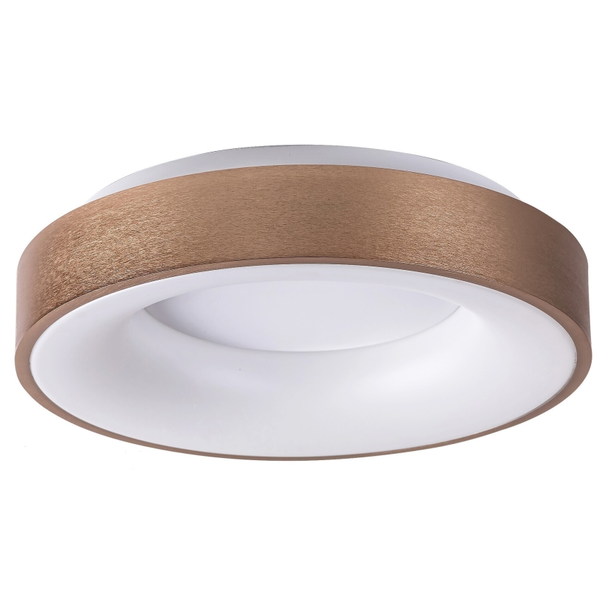 Rabalux 5052 - LED-kattovalaisin CARMELA LED/30W/230V