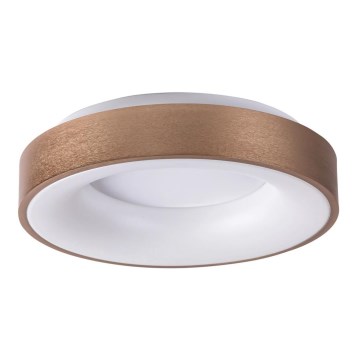 Rabalux 5053 - LED-kattovalaisin CARMELA LED/50W/230V