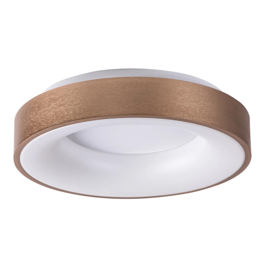 Rabalux 5053 - LED-kattovalaisin CARMELA LED/50W/230V