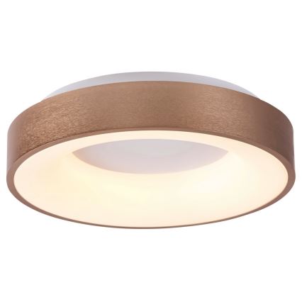 Rabalux 5053 - LED-kattovalaisin CARMELA LED/50W/230V