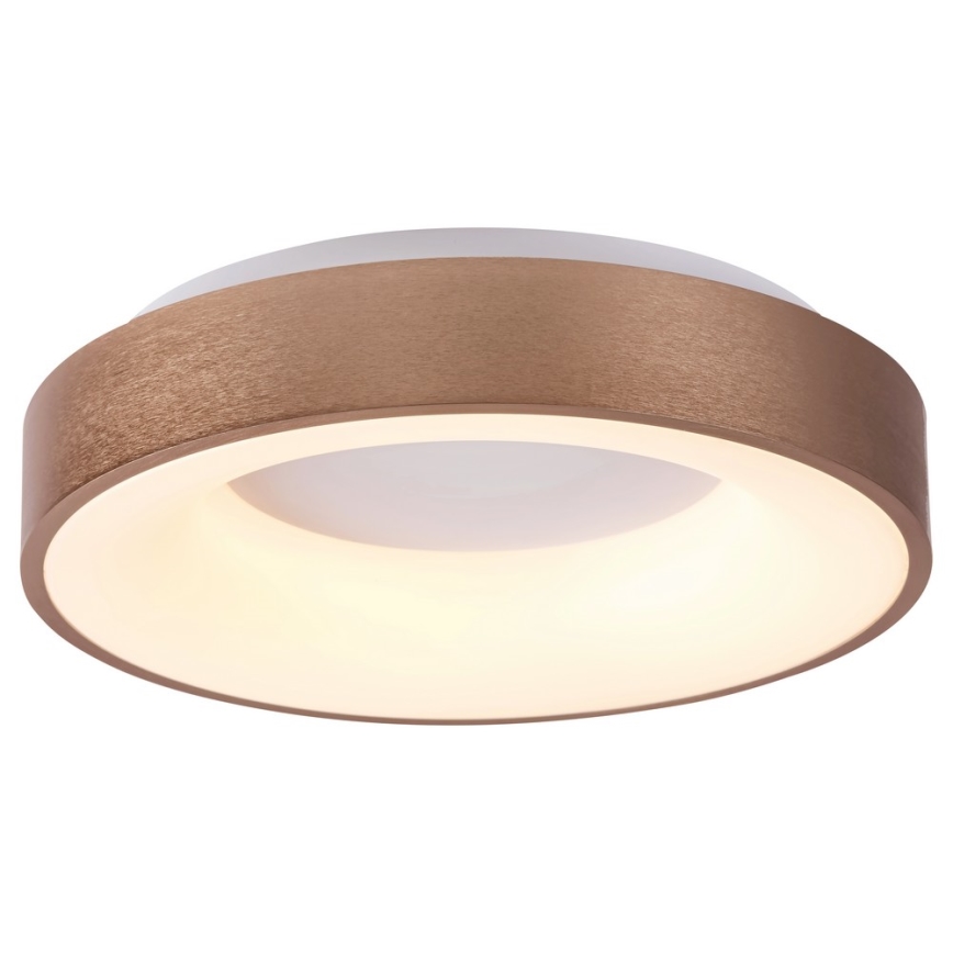 Rabalux 5053 - LED-kattovalaisin CARMELA LED/50W/230V