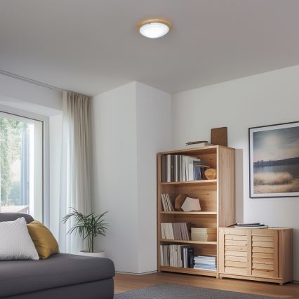 Rabalux - Kattovalo 1xE27/60W/230V halkaisija 30 cm