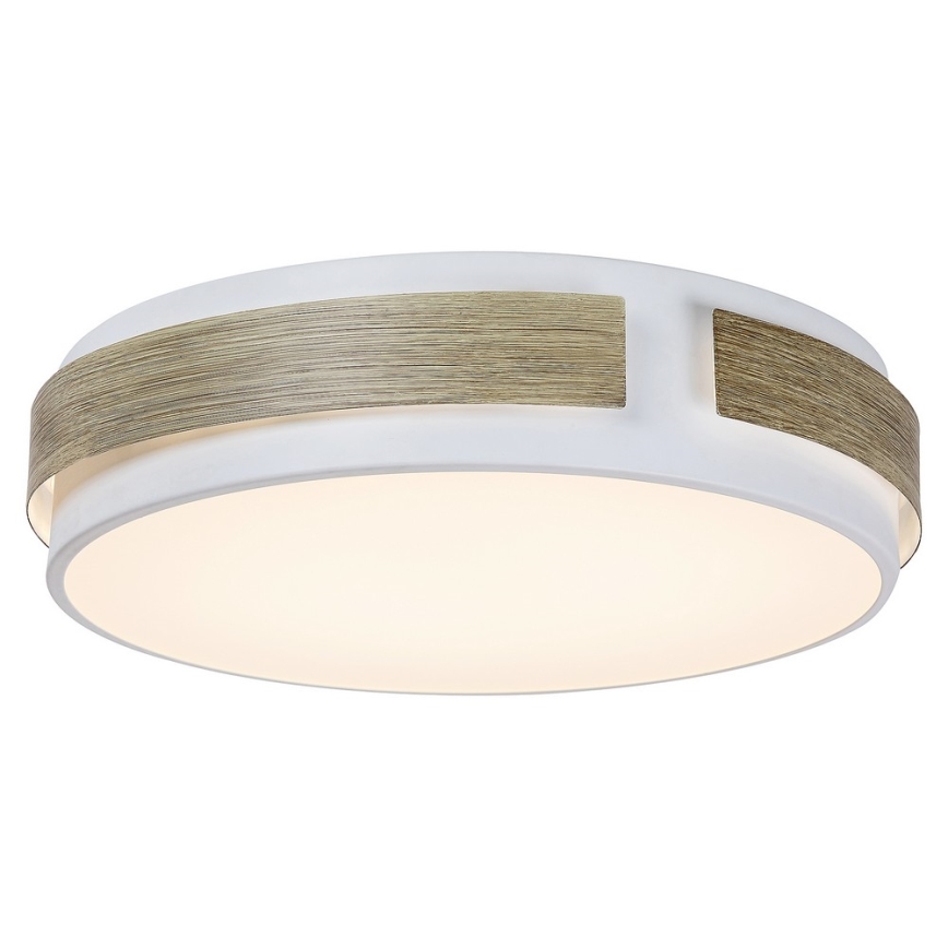 Rabalux - Himmennettävä LED-kattovalaisin LED/24W/230V