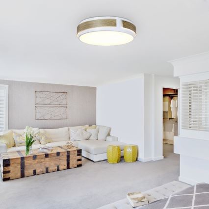 Rabalux - Himmennettävä LED-kattovalaisin LED/24W/230V