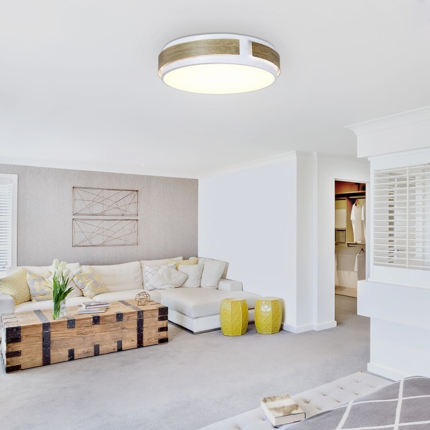 Rabalux - Himmennettävä LED-kattovalaisin LED/24W/230V