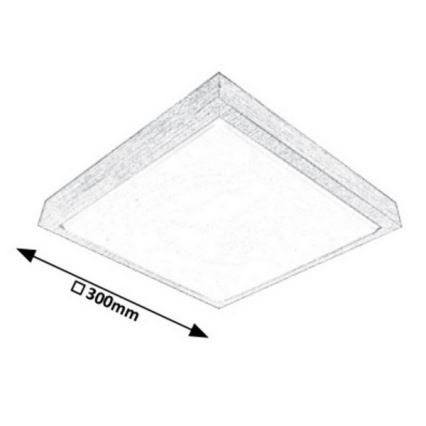 Rabalux - LED-kattovalaisin LED/18W/230V