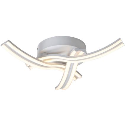Rabalux - LED-kattovalaisin LED/40W/230V