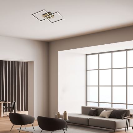 Rabalux - LED-kattovalaisin LED/24W/230V