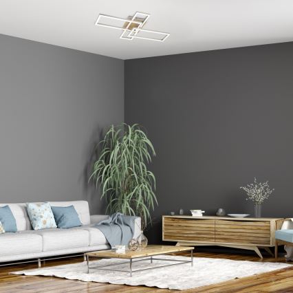Rabalux - LED-kattovalaisin LED/24W/230V